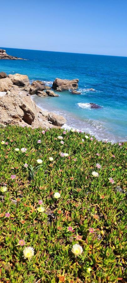 Costa Norte Vinarós Buitenkant foto