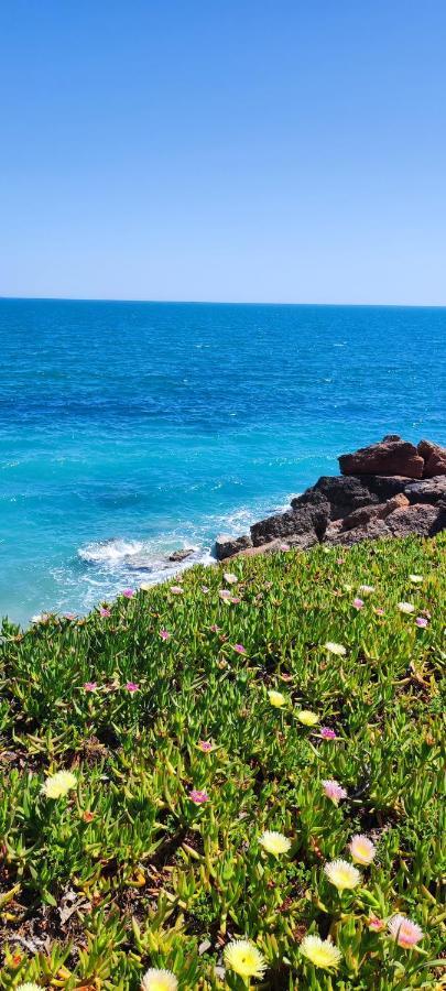 Costa Norte Vinarós Buitenkant foto
